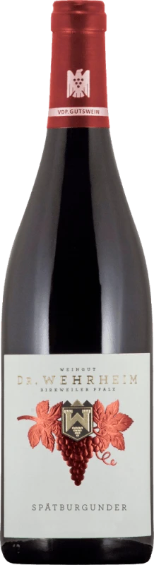 Spätburgunder Trocken - Dr. Wehrheim