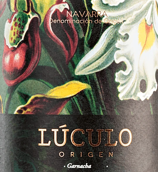 Origen Navarra DO - Casa De Lúculo 4 Origen Navarra DO - Casa De Lúculo – Bild 2